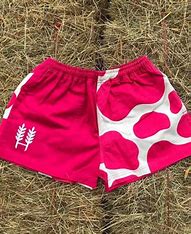 Hexby Pink Holstein Harlequin Shorts