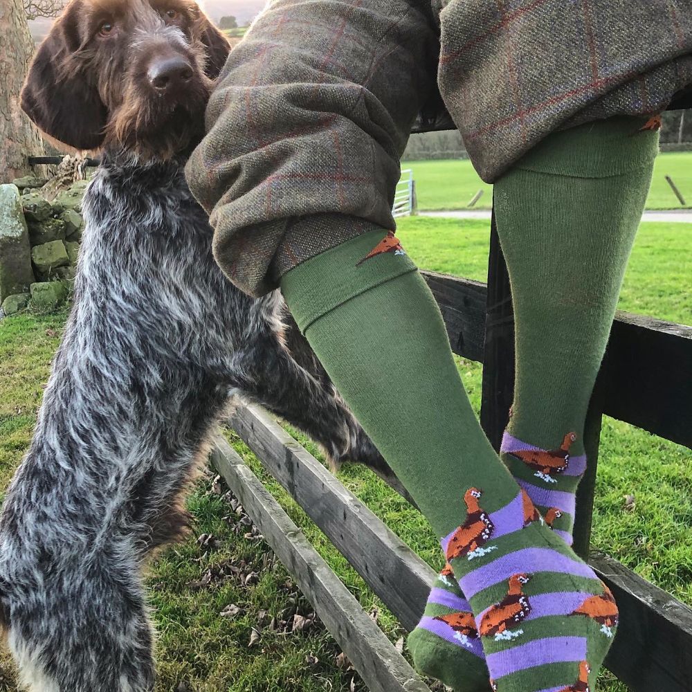 Shuttle Socks Green & Purple Grouse Shooting/Walking Socks Adult 3-7