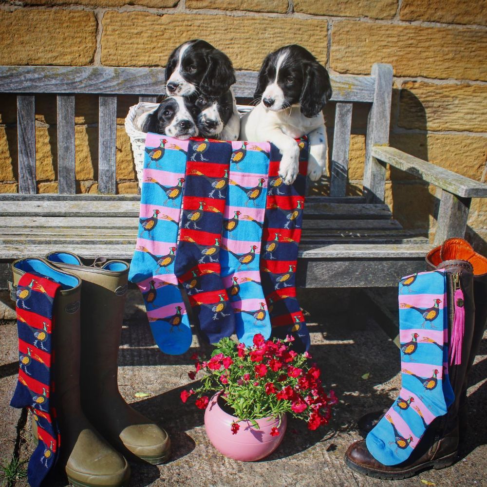 Shuttle Socks Pink & Navy Highland Cow Long Welly Socks Adult 3-7